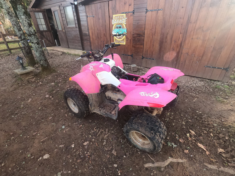 il faut aimer le rose…