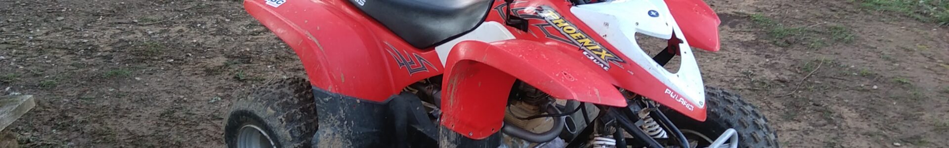 polaris phoenix 200 – présentation