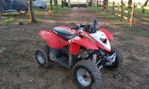 polaris phoenix 200 – présentation